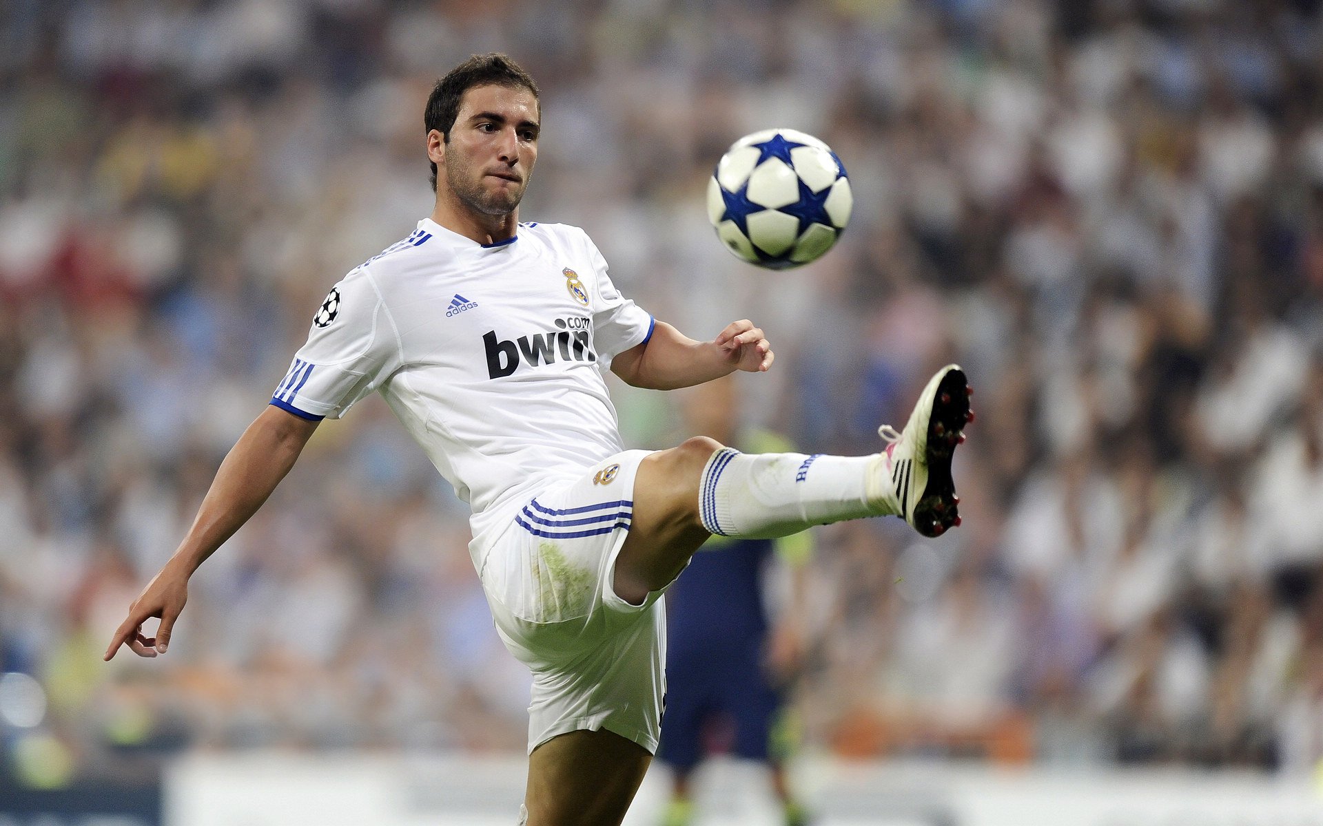 “无冕之王”：那些未夺冠却令人敬佩的球队，比赛里无冕之王什么意思