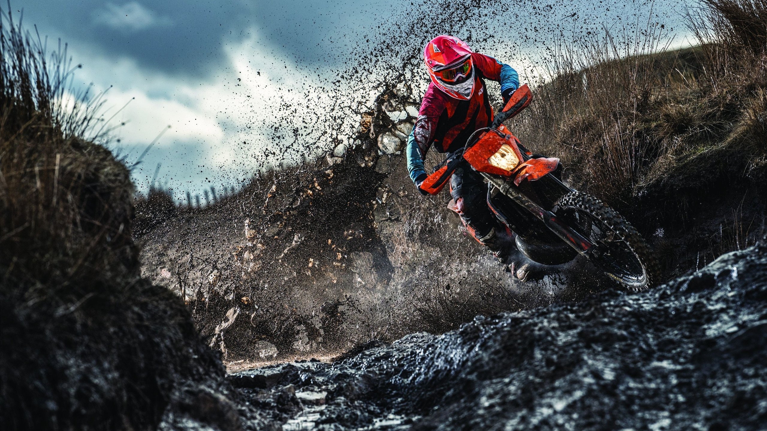 Jiu You-德甲领头羊：拜仁连续15场不败，优势明显，拜仁德甲连冠